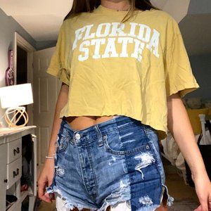 Vintage FSU Cropped Tee